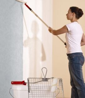 Paint Roller